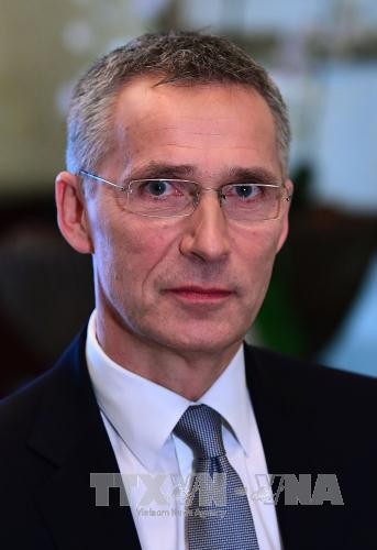 NATO will gemeinsame Verteidigung stärken - ảnh 1